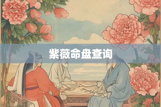 紫薇命盘查询