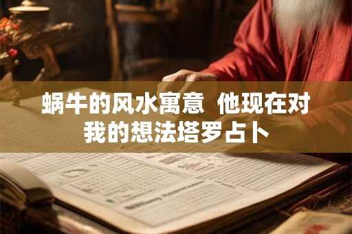 蜗牛的风水寓意  他现在对我的想法塔罗占卜