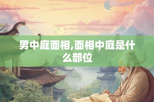 男中庭面相,面相中庭是什么部位