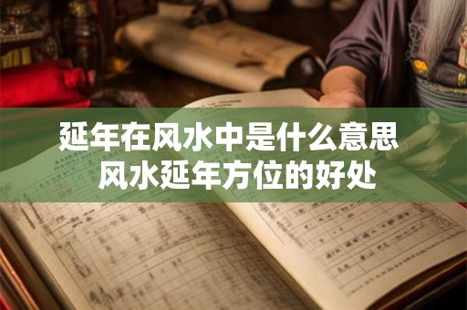 延年在风水中是什么意思 风水延年方位的好处 延年在风水中是什么意思 风水延年方位的好处