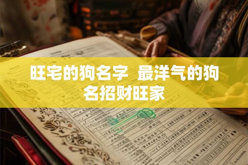 旺宅的狗名字  最洋气的狗名招财旺家