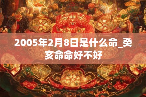 2005年2月8日是什么命_癸亥命命好不好