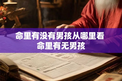 命里有没有男孩从哪里看 命里有无男孩