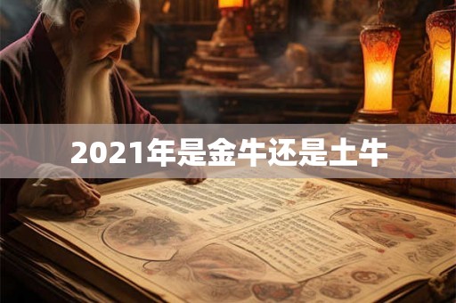 2021年是金牛还是土牛