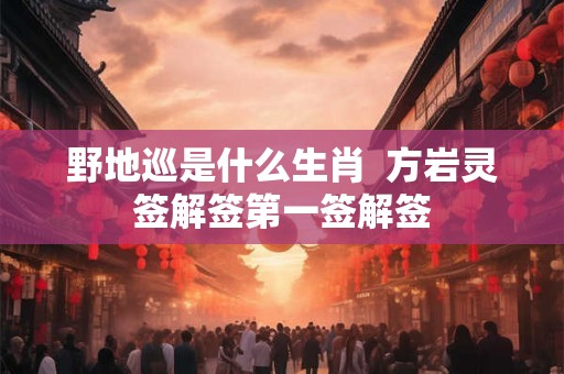 野地巡是什么生肖  方岩灵签解签第一签解签