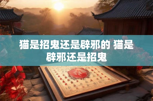 猫是招鬼还是辟邪的 猫是辟邪还是招鬼