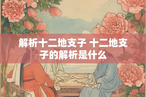 解析十二地支子 十二地支子的解析是什么