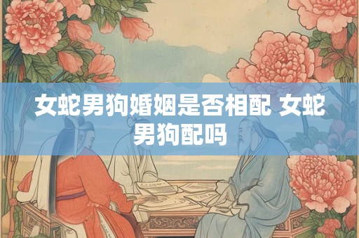 女蛇男狗婚姻是否相配 女蛇男狗配吗