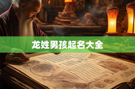 龙姓男孩起名大全