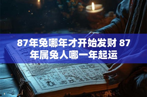 87年兔哪年才开始发财 87年属兔人哪一年起运