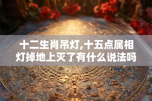 十二生肖吊灯,十五点属相灯掉地上灭了有什么说法吗？