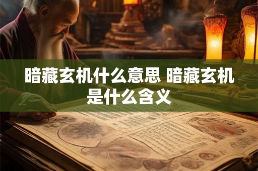 暗藏玄机什么意思 暗藏玄机是什么含义