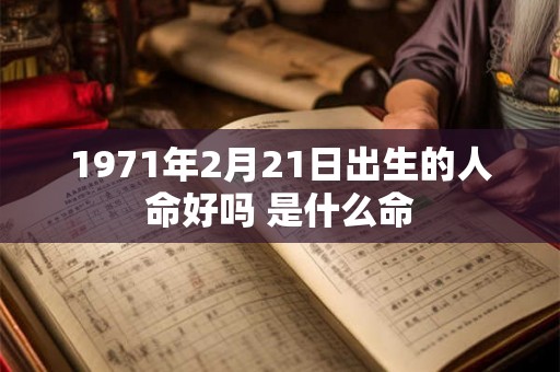 1971年2月21日出生的人命好吗 是什么命