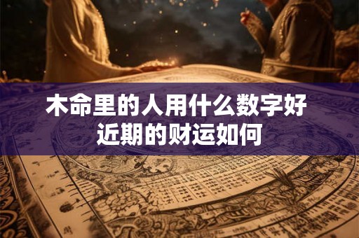 木命里的人用什么数字好 近期的财运如何