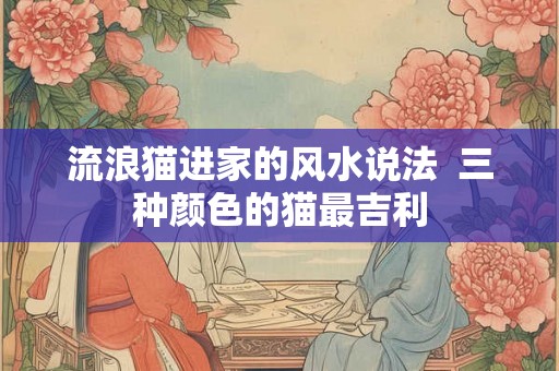 流浪猫进家的风水说法  三种颜色的猫最吉利