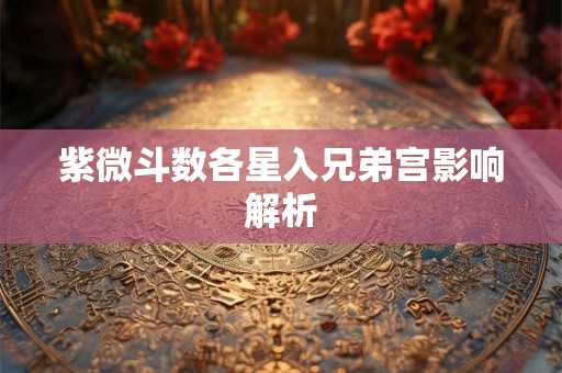 紫微斗数各星入兄弟宫影响解析