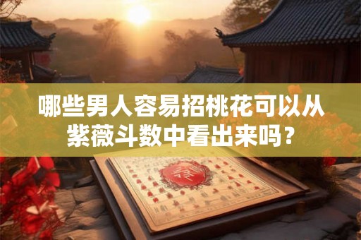 哪些男人容易招桃花可以从紫薇斗数中看出来吗？