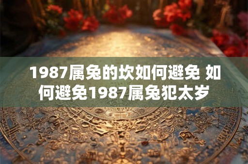 1987属兔的坎如何避免 如何避免1987属兔犯太岁