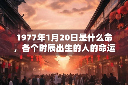 1977年1月20日是什么命，各个时辰出生的人的命运