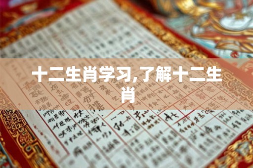 十二生肖学习,了解十二生肖