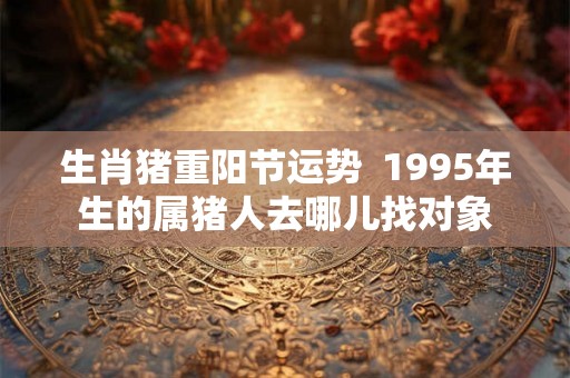 生肖猪重阳节运势  1995年生的属猪人去哪儿找对象