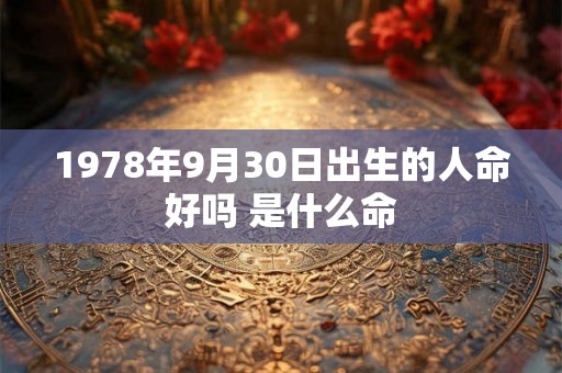 1978年9月30日出生的人命好吗 是什么命