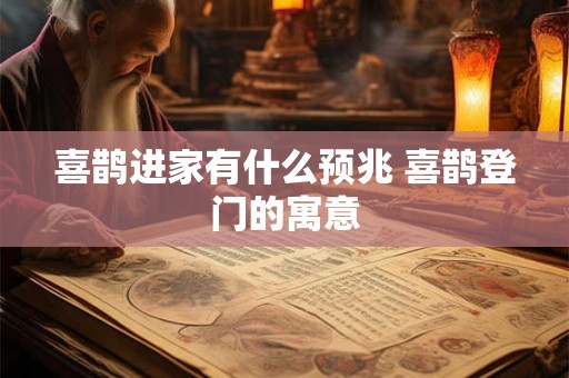 喜鹊进家有什么预兆 喜鹊登门的寓意