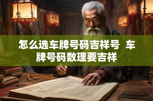 怎么选车牌号码吉祥号 车牌号码数理要吉祥 怎么选车牌号码吉祥号 车牌号码数理要吉祥