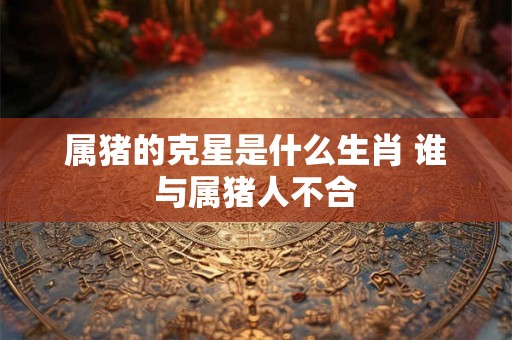 属猪的克星是什么生肖 谁与属猪人不合