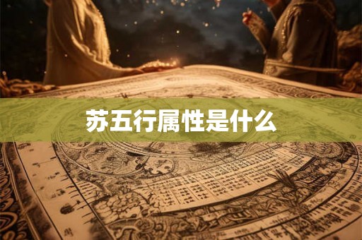 苏五行属性是什么
