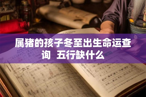 属猪的孩子冬至出生命运查询  五行缺什么