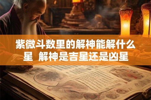 紫微斗数里的解神能解什么星  解神是吉星还是凶星
