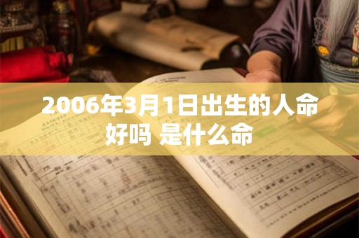 2006年3月1日出生的人命好吗 是什么命