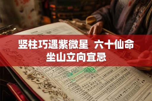 竖柱巧遇紫微星  六十仙命坐山立向宜忌