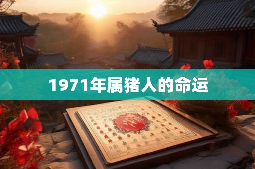 1971年属猪人的命运