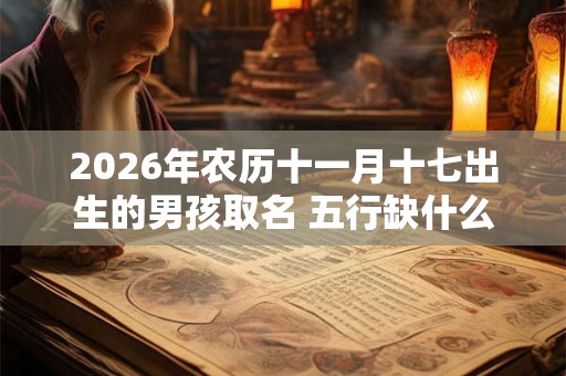 2026年农历十一月十七出生的男孩取名 五行缺什么