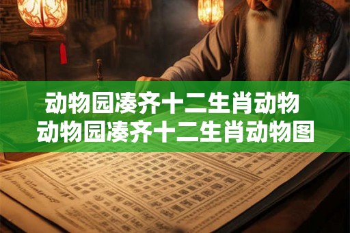 动物园凑齐十二生肖动物 动物园凑齐十二生肖动物图片