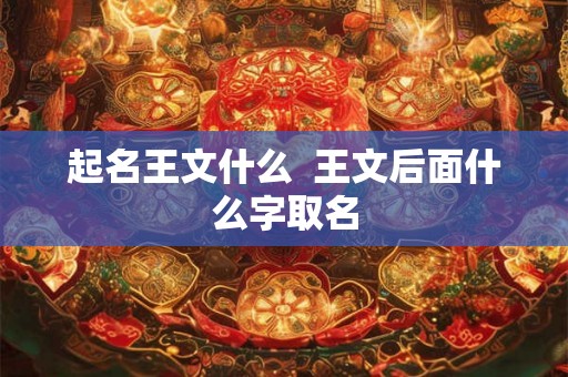 起名王文什么  王文后面什么字取名
