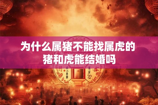 为什么属猪不能找属虎的 猪和虎能结婚吗 为什么属猪不能找属虎的 猪和虎能结婚吗