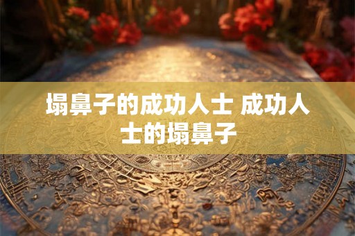 塌鼻子的成功人士 成功人士的塌鼻子
