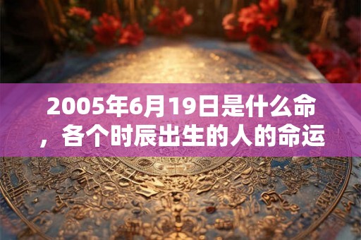 2005年6月19日是什么命，各个时辰出生的人的命运