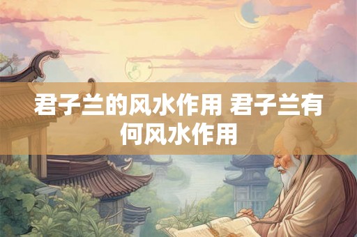 君子兰的风水作用 君子兰有何风水作用 君子兰的风水作用 君子兰有何风水作用