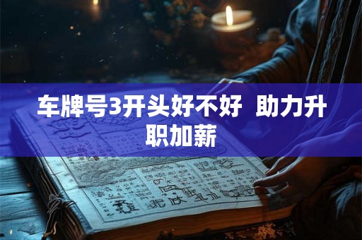 车牌号3开头好不好 助力升职加薪 车牌号3开头好不好 助力升职加薪