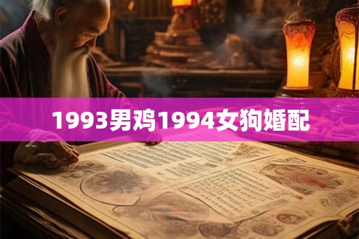 1993男鸡1994女狗婚配 1993男鸡1994女狗婚配