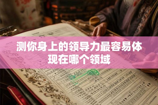 测你身上的领导力最容易体现在哪个领域