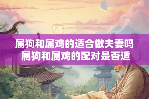 属狗和属鸡的适合做夫妻吗 属狗和属鸡的配对是否适合成为夫妻