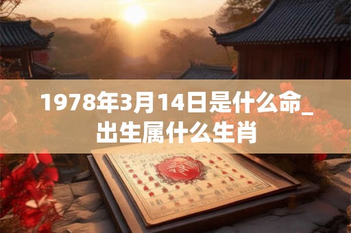 1978年3月14日是什么命_出生属什么生肖
