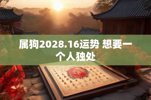 属狗2028.16运势 想要一个人独处