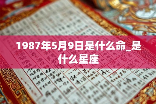 1987年5月9日是什么命_是什么星座