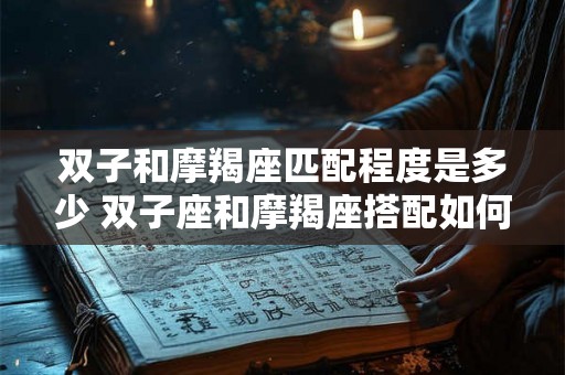 双子和摩羯座匹配程度是多少 双子座和摩羯座搭配如何